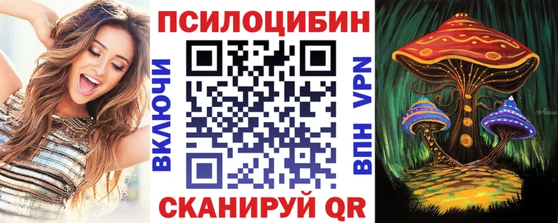 купить   Пятигорск  Псилоцибиновые грибы мухоморы 