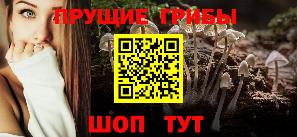 Галлюциногенные грибы Psilocybine cubensis  Вход с VPN  Пятигорск 